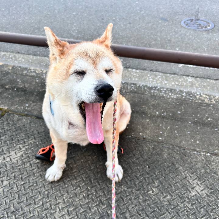 Cad0f552 e535 464b 9ae0 122887c4ba3d 1753308510931