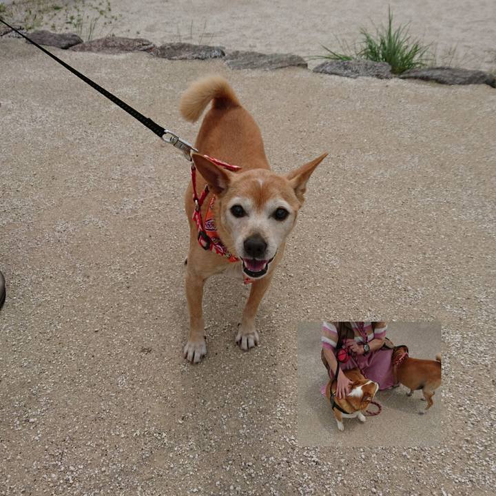 Cad0f5f9 f4fe 46b8 8288 c970f4c8ae8b 1621992842731