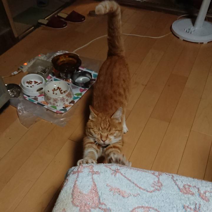 Cad12adb 0b09 42fb b66e 53bef59b1b59 1598299101877