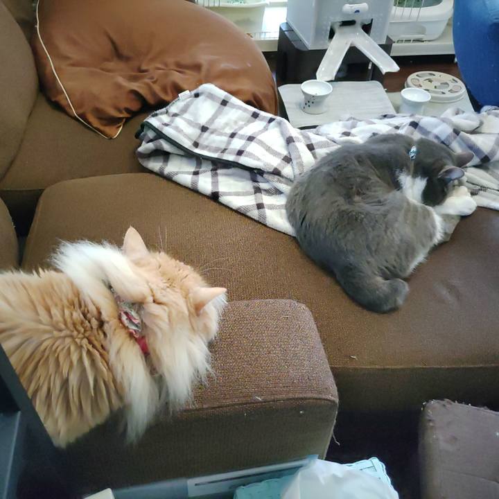 Cad1406f eb07 4070 99bc b59fb0e1618f 1715234524492