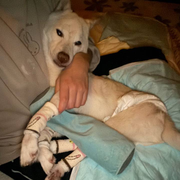 Cad1668a 8f63 461f 96bc efce47a170e1 1704737515556