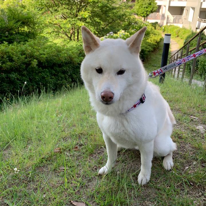 Cad16d18 1d1b 4158 a909 9b4bb7601245 1559776647978