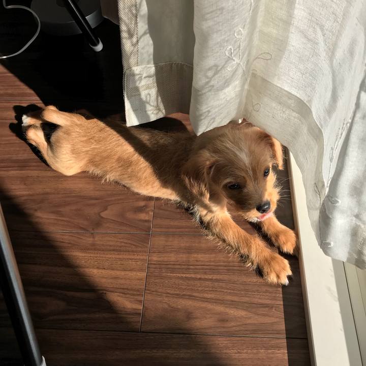 Cad1902d f2ae 404a 9f96 d397843a8ef9 1517545156803