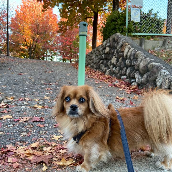 Cad199ee b9ee 472b be13 5ae7fa052e3c 1572992088754