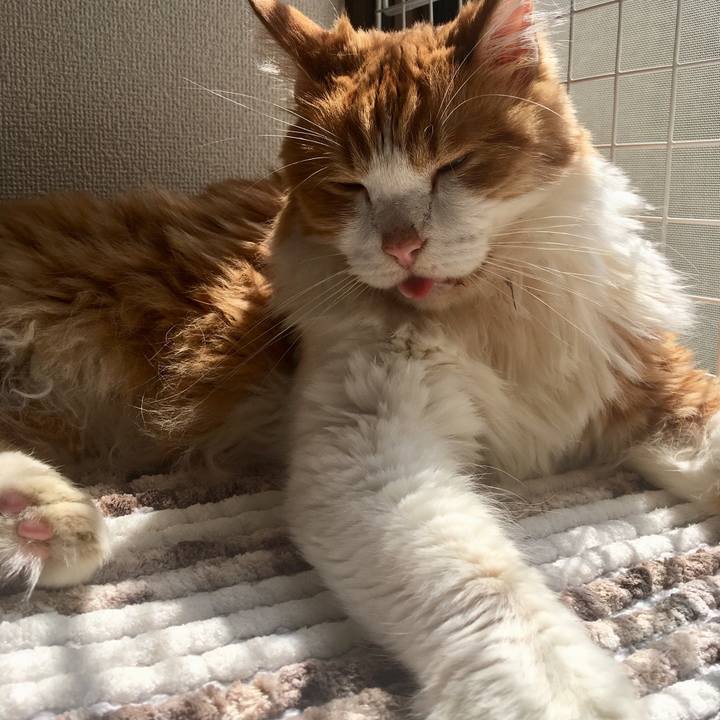 Cad1b20c 4858 4ad8 a1fd cd9c94c6b86c 1568351066004