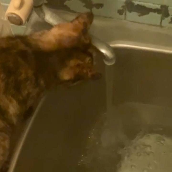 Cad1d543 d108 4e62 a85e ef9cc30ed104 1734721951776