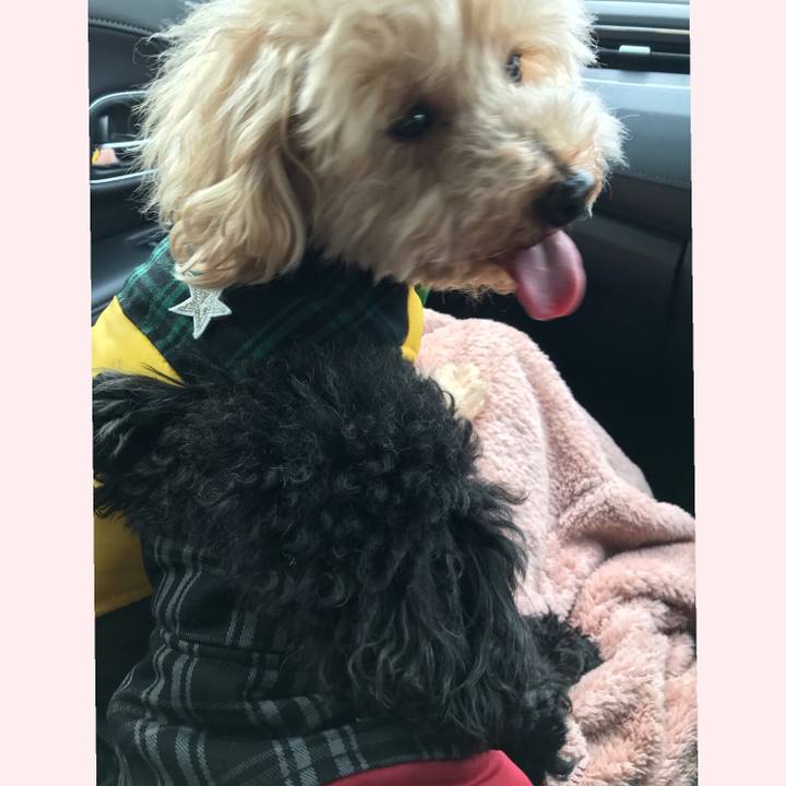 Cad1ff7a 346b 42e2 a1dc 1fdb51ff052c 1544845276546