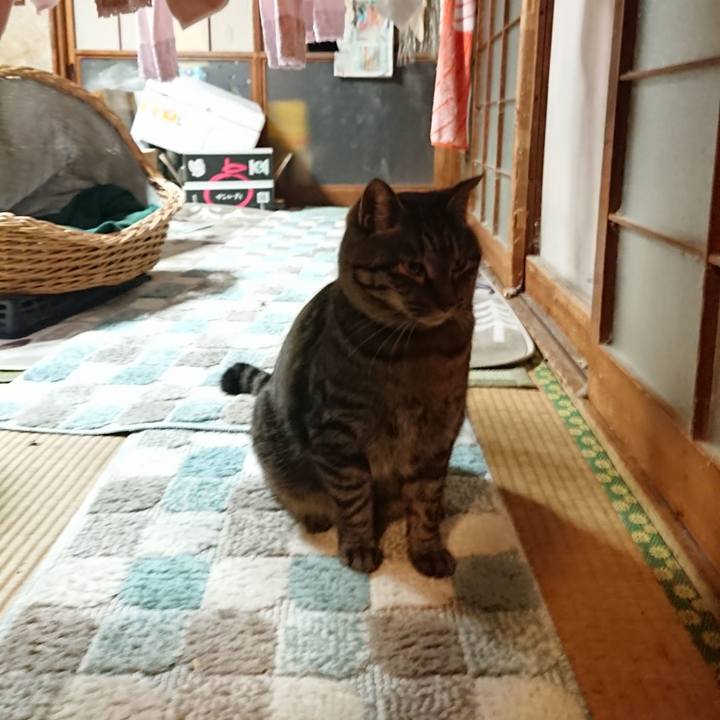 Cad203f1 f382 47c7 934c 5d655dd6c2e1 1643197110538