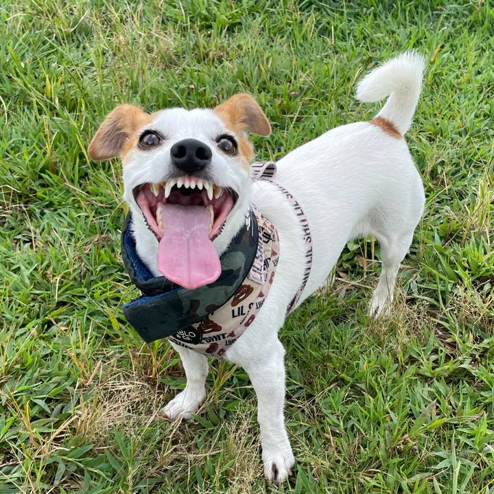 Cad2364e 2c69 44a4 818c f272a07a44c2 1662045999110