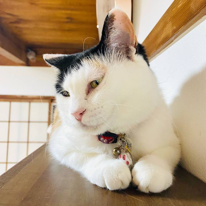 Cad25e5c 1733 49c3 abf2 c8725f7bda0f 1720529378508