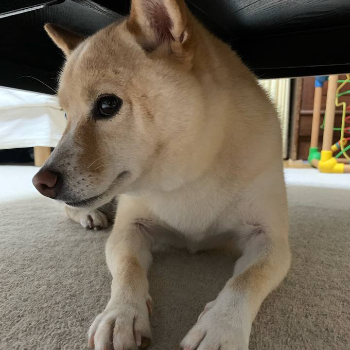 Cad2d6d8 5443 4784 aa73 1cd6555ded32 1630407806326