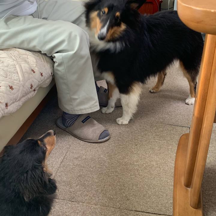 Cad2daa1 6fac 45e2 8117 2cda0afd9756 1569966183396