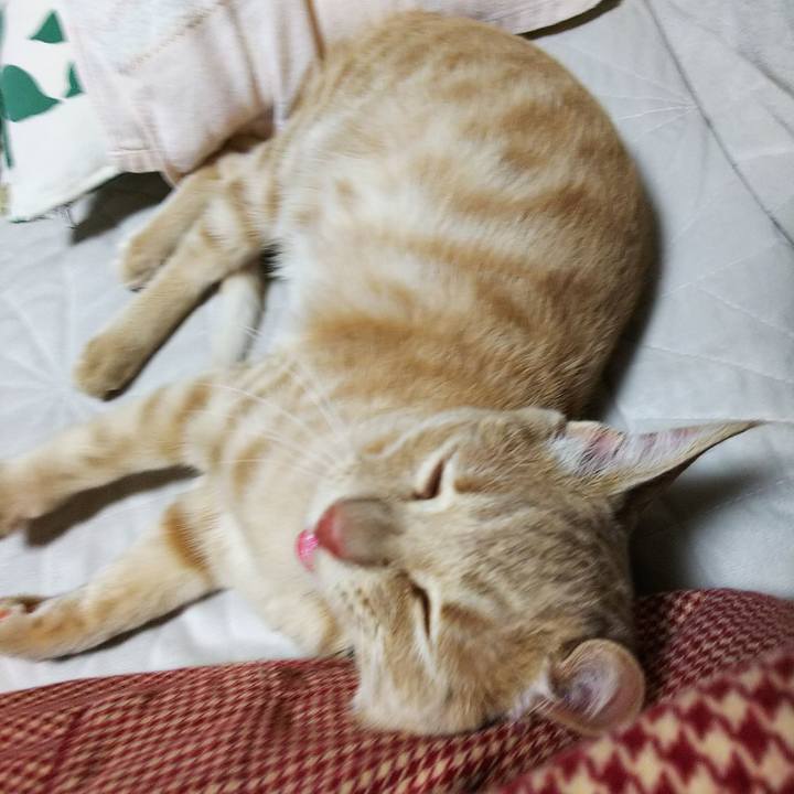 Cad31ebd 4731 4551 a8d2 fbd65e8218ba 1546773648630