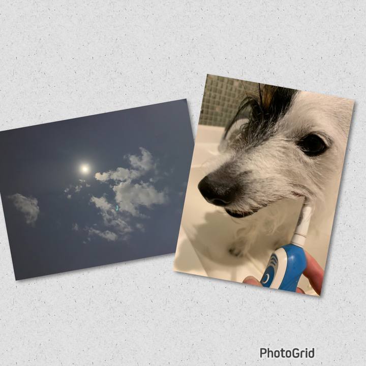 Cad3459c 399e 4666 b2d1 99023928b327 1675602064415