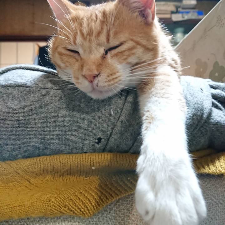 Cad34621 1a51 48cc ba75 9c3b623da73c 1571742239460