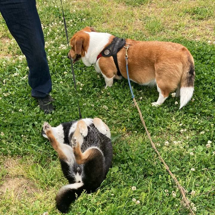 Cad36377 ccf3 4928 9f8d 098c3e60480d 1681470827650