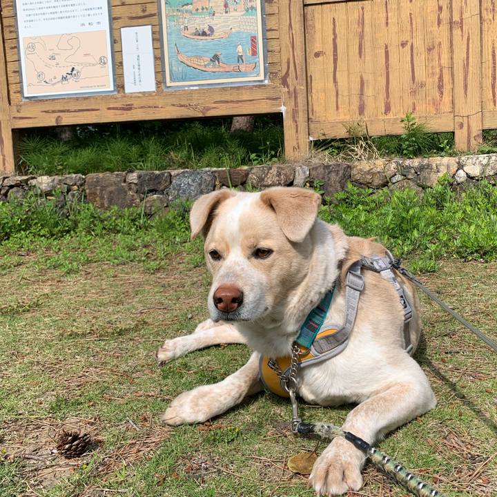 Cad36de9 170b 4f2e 887c 8733e9b783dc 1556932632067