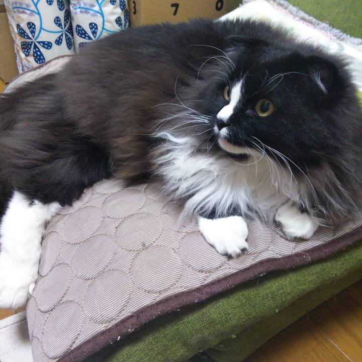 Cad374d9 4a96 4818 a329 16fd78a2d723 1659258953871