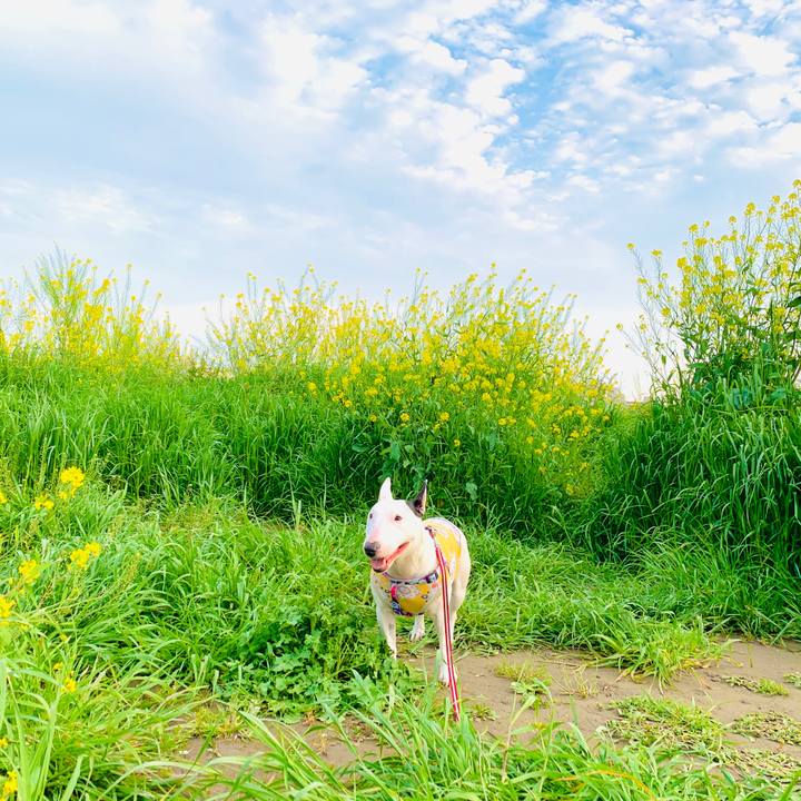 Cad38e37 628f 4b41 b2a2 bc4349307816 1587815649502