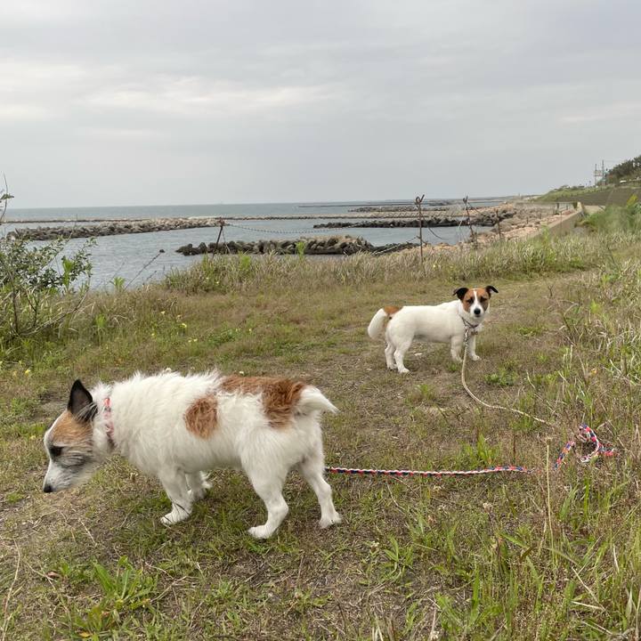 Cad39bf5 0b97 4f23 98b7 f15d2462aac9 1747694677523