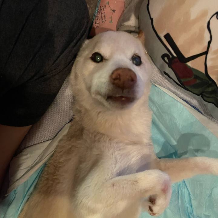 Cad3e722 30d0 4765 ade8 868069e1e8af 1679834887231