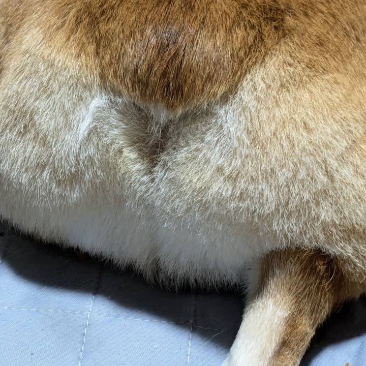 Cad42a22 2cae 46f0 8ed7 513562ba38fd 1727780203555