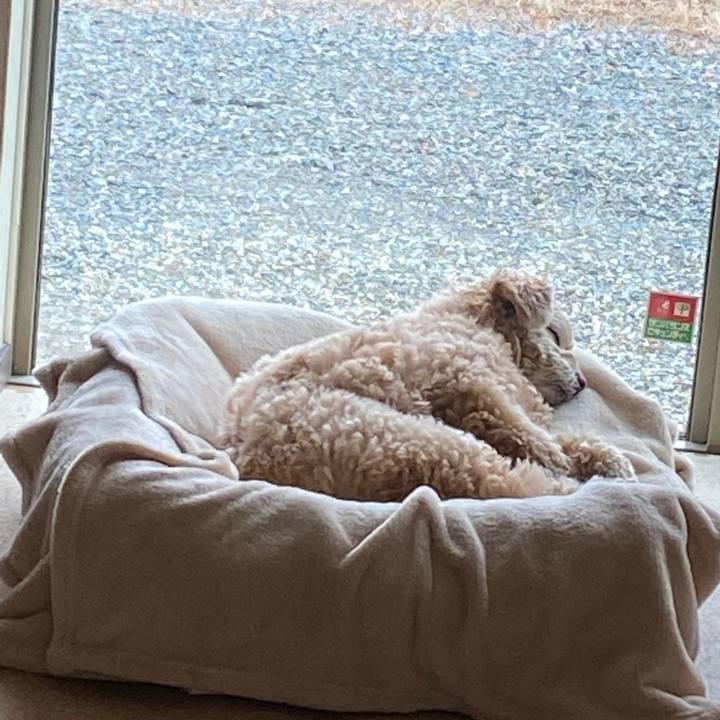 Cad461f9 e222 4916 8e3c 5030d244741b 1611795266531