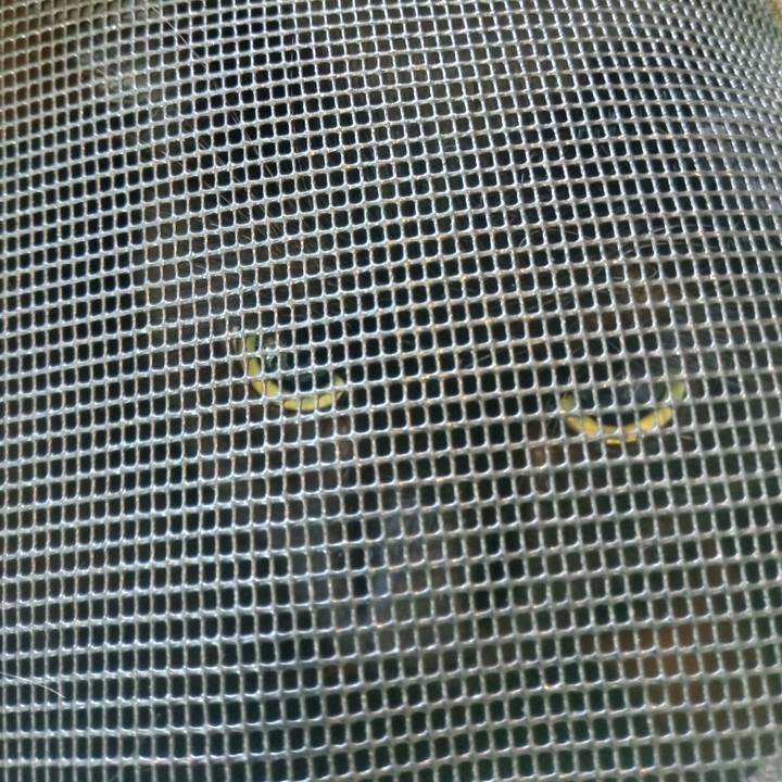 Cad49faf 4a38 4fb2 8c81 f2050853e866 1598060430286