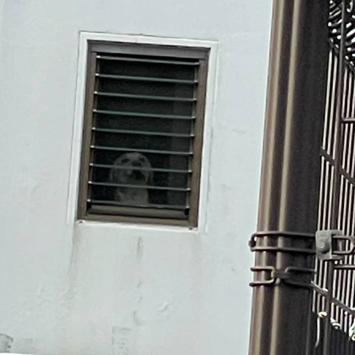 Cad4cefb 6807 4f55 9aa2 6d2b642e1792 1663804993876