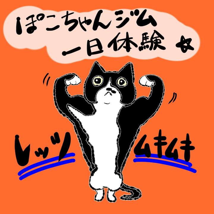 Cad4dde6 9a05 45e4 bbe0 a419b48a794f 1662179604883