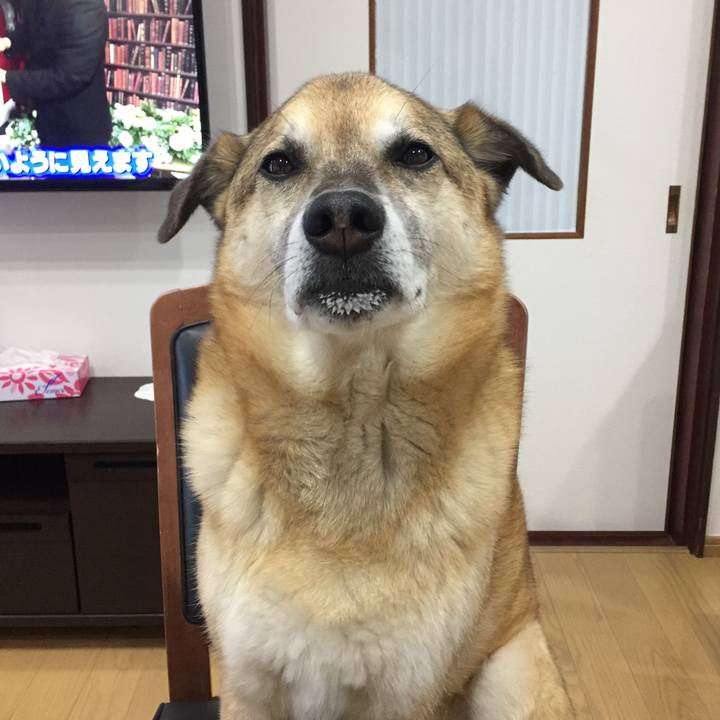 Cad4f0ab edba 4abe 968f 327cfd7adf0b 1587978943833