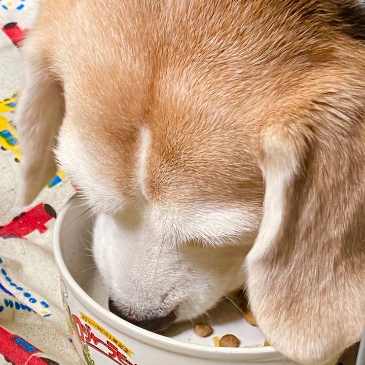 Cad4f2e4 26b0 4055 b2f5 b198c4d1bf0b 1592874263431