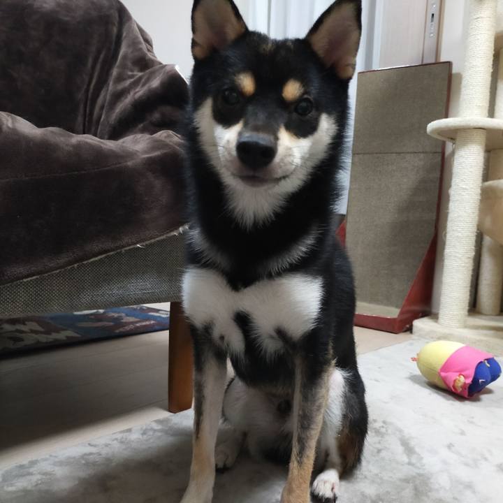 Cad4fe7a 8b2c 4015 abb7 e79a0963e77f 1597578426475