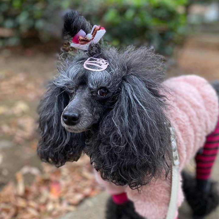 Cad544af 0ede 4bba a9df 551b5fb73df2 1699831266984