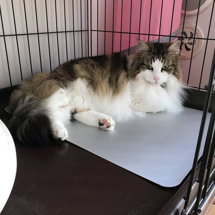 Cad5844d 91dc 42da ac02 4ede2543e90f 1653793694966