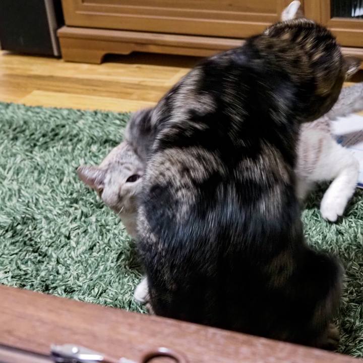 Cad5c618 81b7 4a67 a970 ef797a3e2f9c 1639055749947