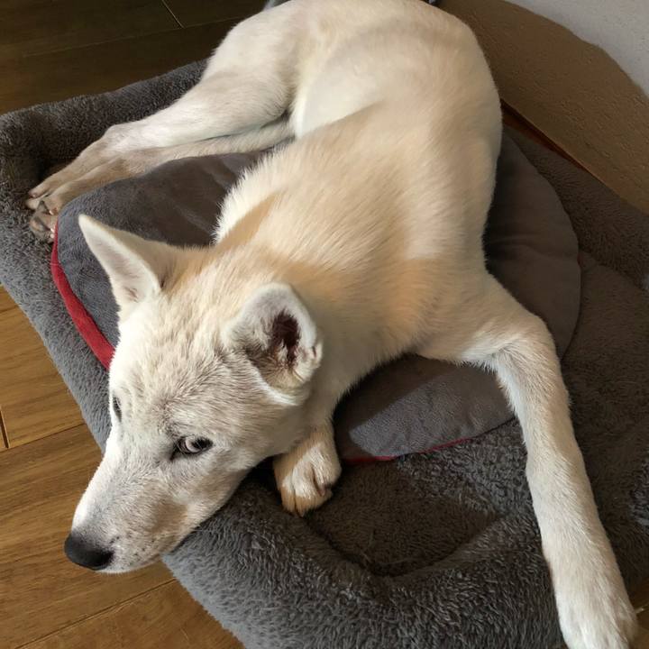 Cad5f9e9 2a1b 46ff 8a32 d4d1351d7e6b 1518102533730