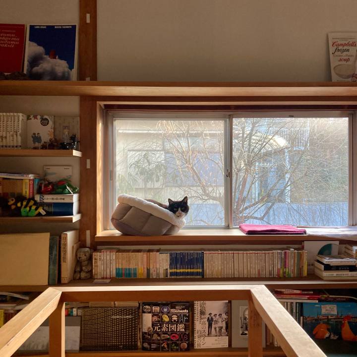 Cad61d0f 6e5e 436b bdfa 834d6b7f33c3 1612570440661