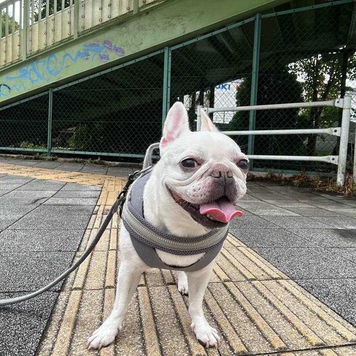 Cad626b1 0ce2 40e8 b352 f9d25a83ec7e 1695473130131