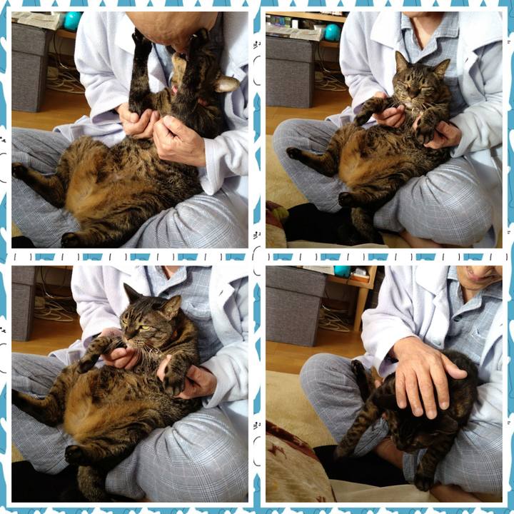 Cad65409 18c5 4eb4 a120 94f3106afd8f 1768004159780