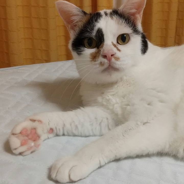 Cad66c78 935c 419a 91cb 2b3813a6fd41 1690291518496