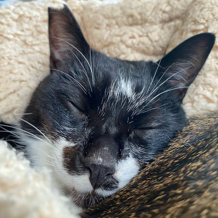 Cad67044 c9c1 4178 877f c35fc6a1d801 1683559141950