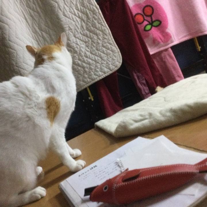 Cad6c1bc 82c3 457a b47c fd4bfb652c50 1609418631290