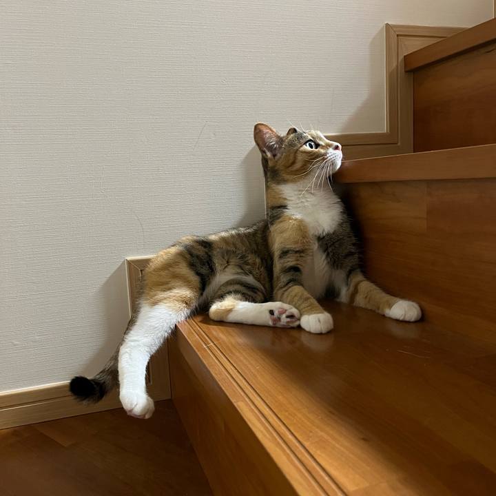 Cad6ec4c 087e 48cf b564 dd1d2544d5d5 1653310823362