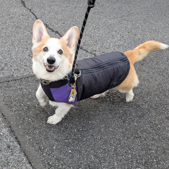 Cad713a7 296c 4948 a113 b128196f50ee 1766117124832