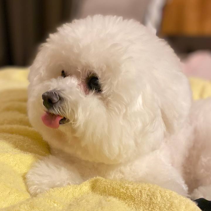 Cad716c6 cfcc 4350 b955 3b62548c52ee 1610274836485