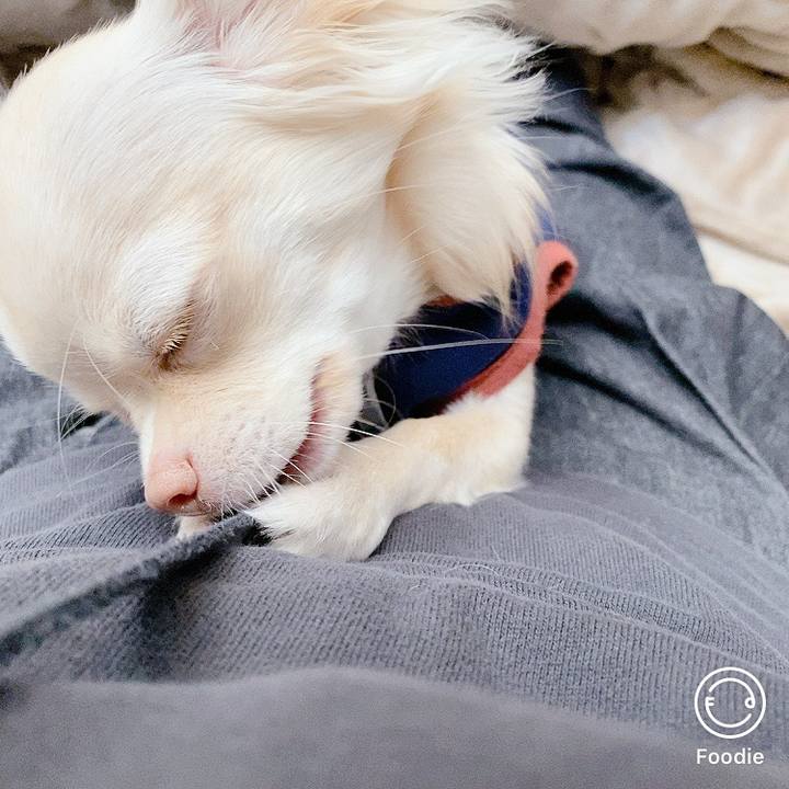 Cad75ada 711d 4757 8487 b4875673e824 1605240747311