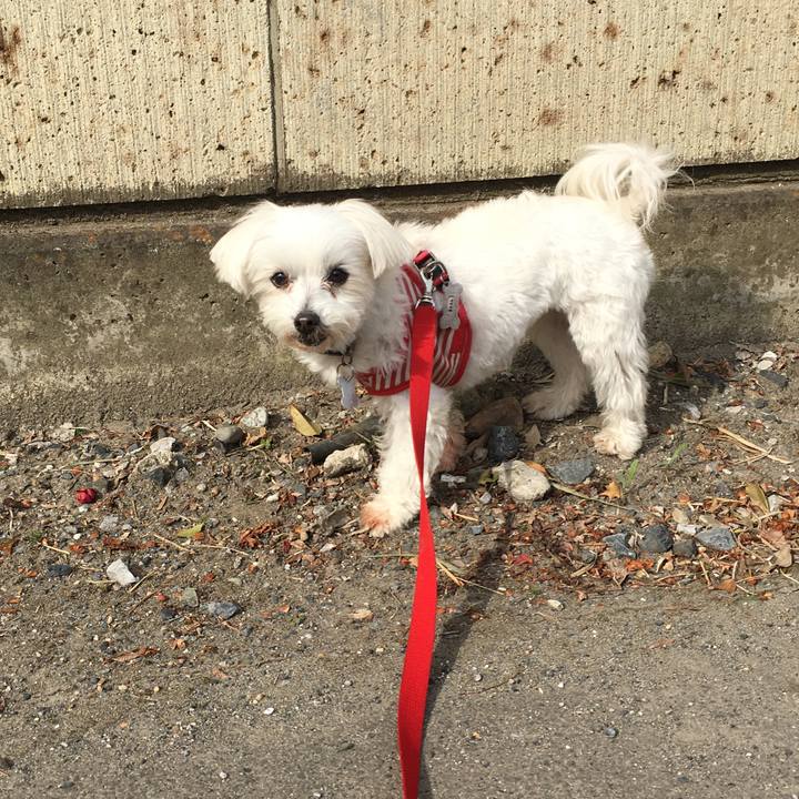 Cad784fd 7897 46ee af8b 7d7953047804 1581734564482