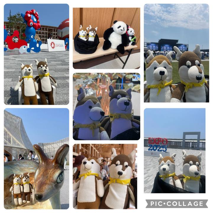 Cad78c01 eebc 432d 883f 0e09ea48a0c6 1751722063429