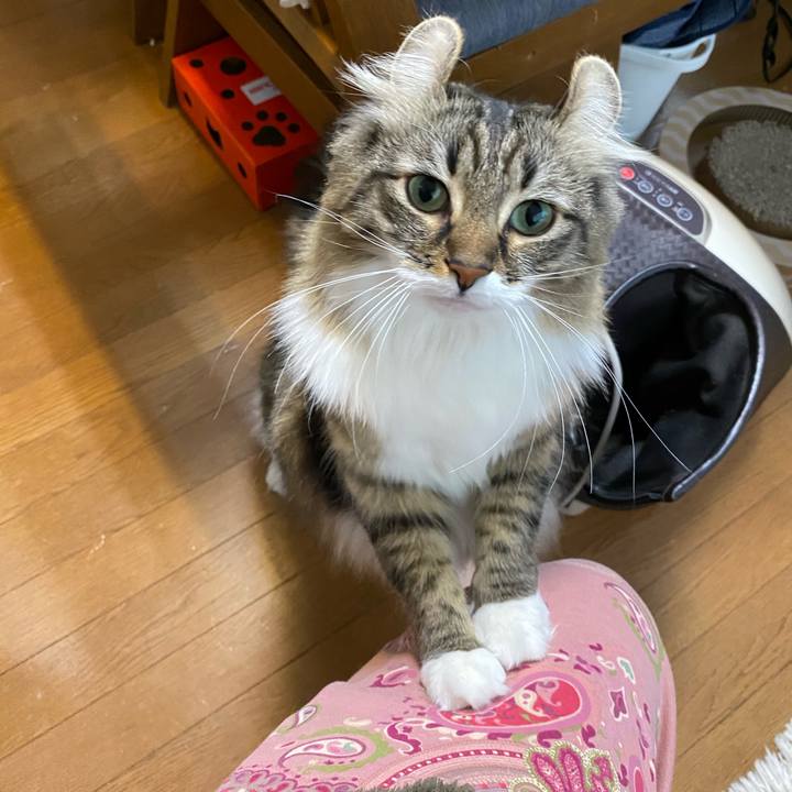 Cad7d4d9 b928 4a83 8a64 36dc679932af 1579584414083